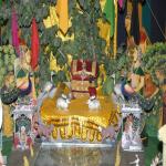Vraj-Yatra-2014- (2074)